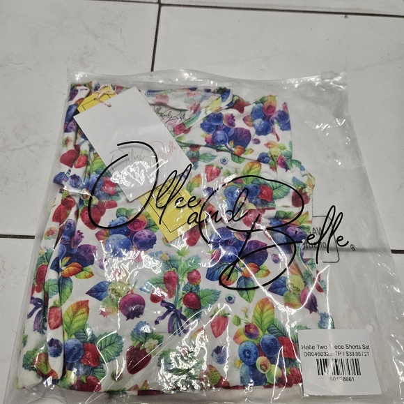 Ollee and Belle Halle 2 piece short set 2t - Picture 1 of 1